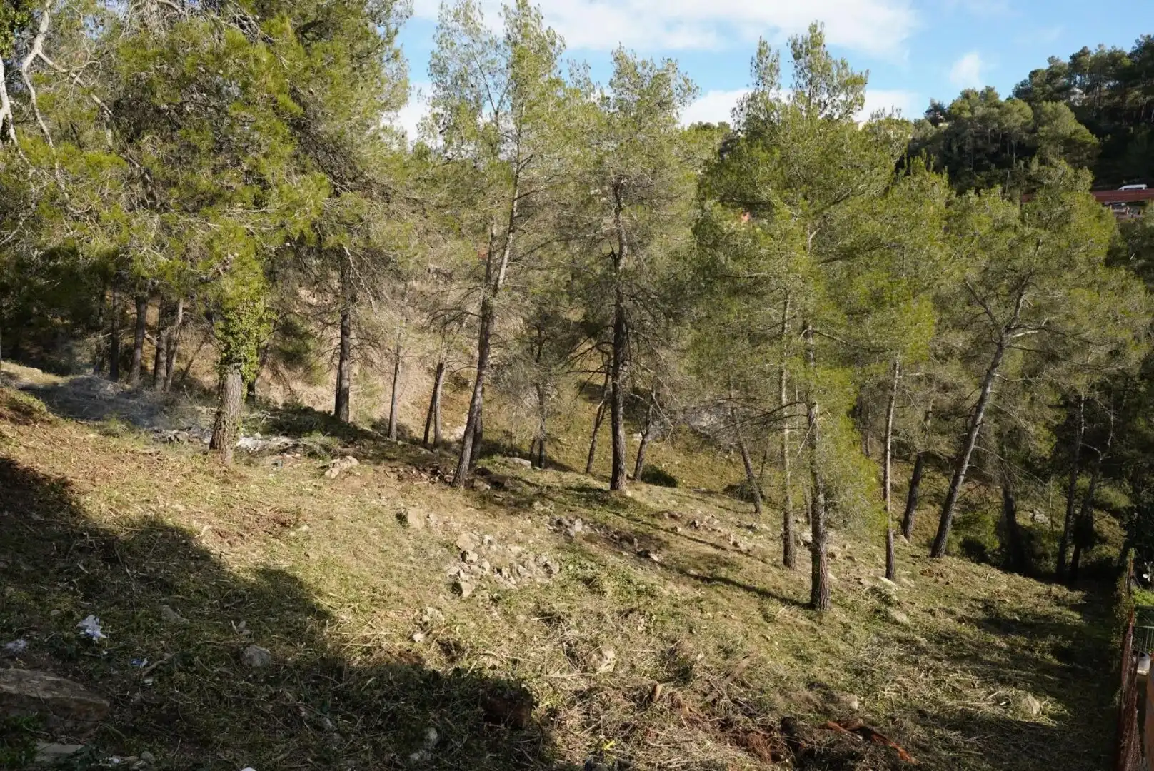 Terrenys i solars en venda a Olesa de Bonesvalls, imagen 16