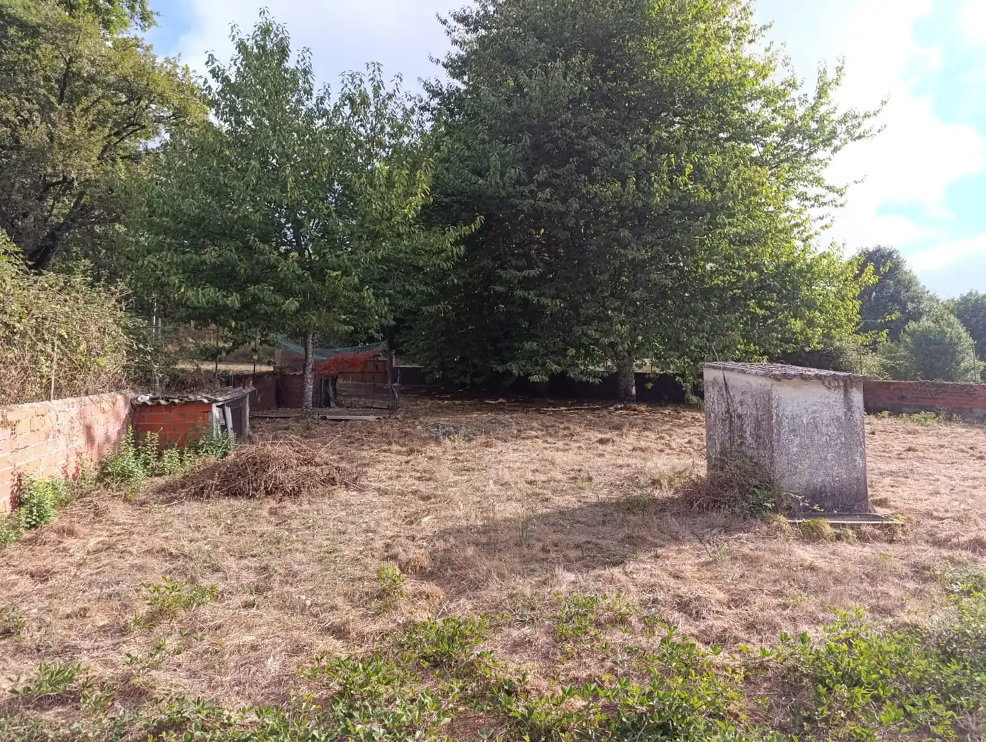 Finca rústica en venda en O Saviñao  amb Jardí privat i Traster