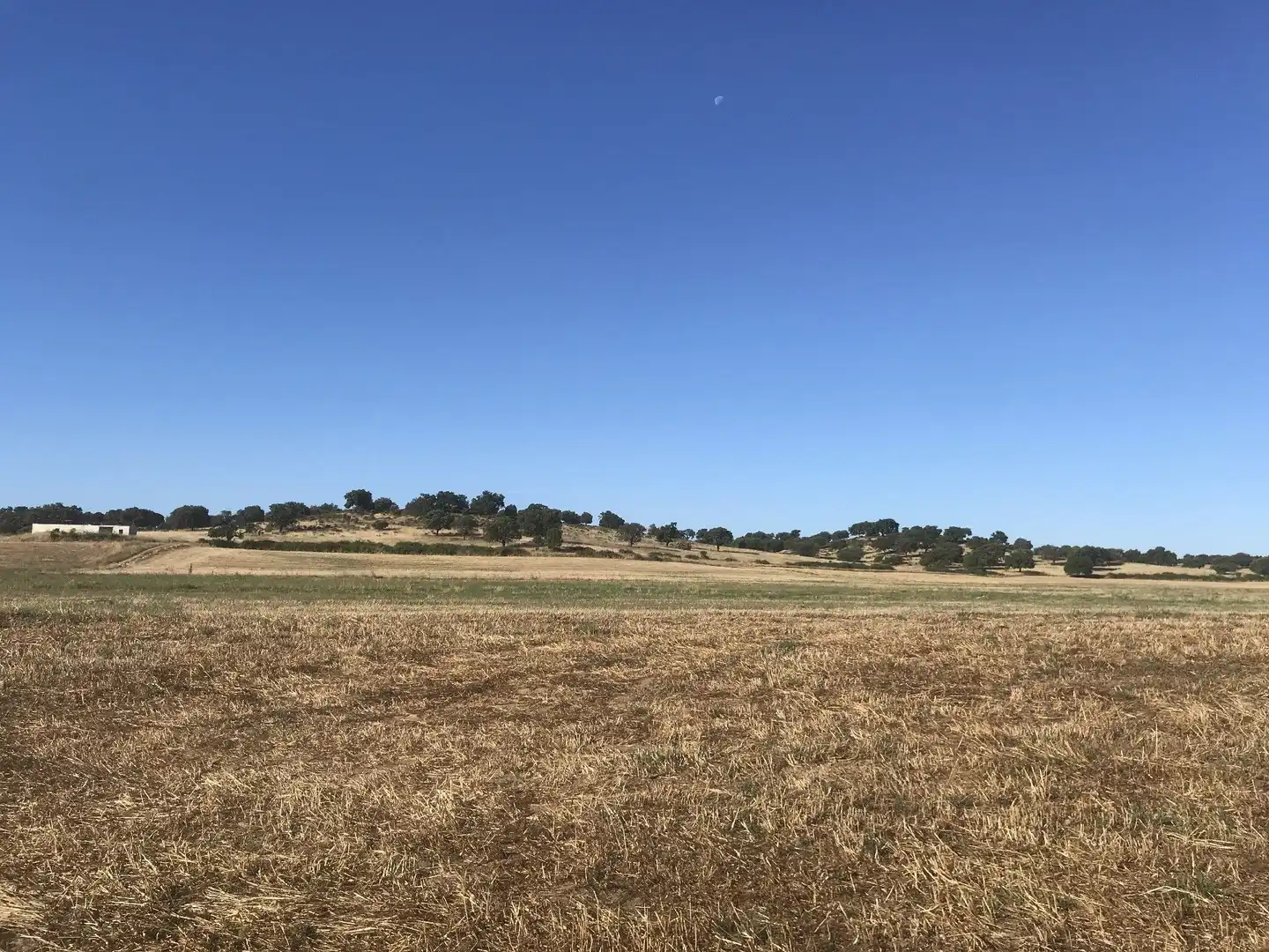 Terreni e lotti in vendita a Malpartida de Plasencia, imagen 3