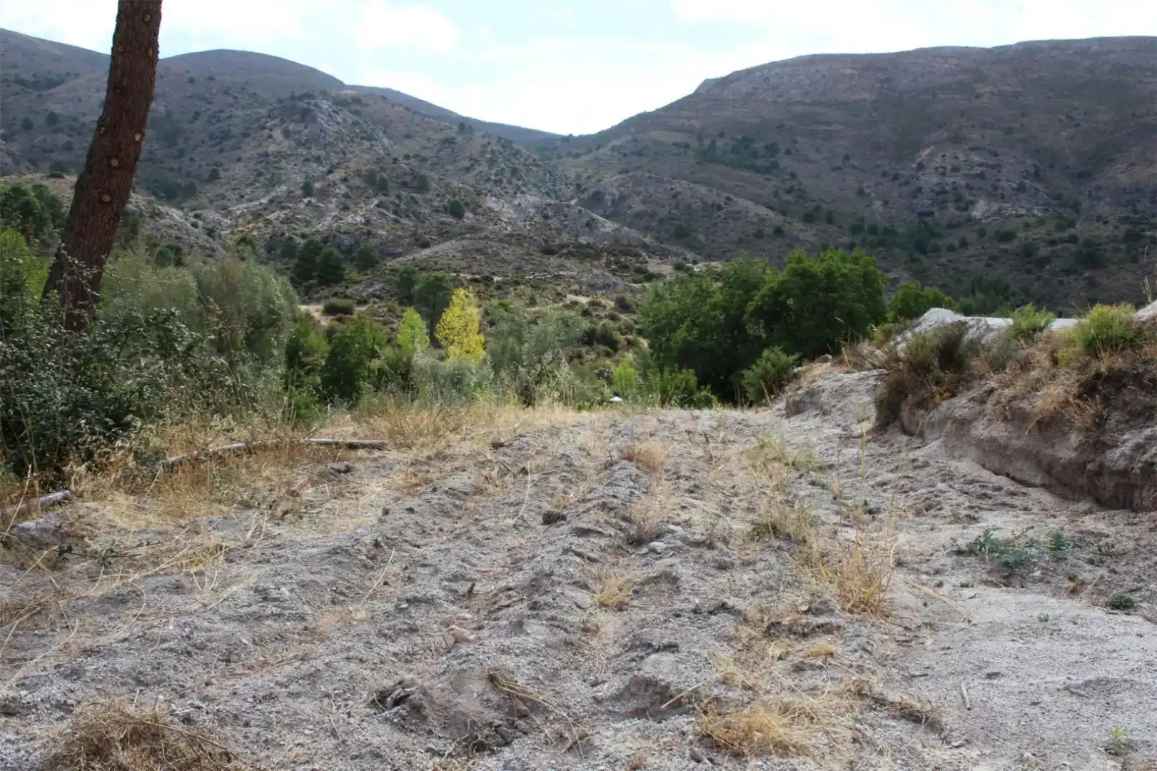 Finca rústica en venta en Quéntar