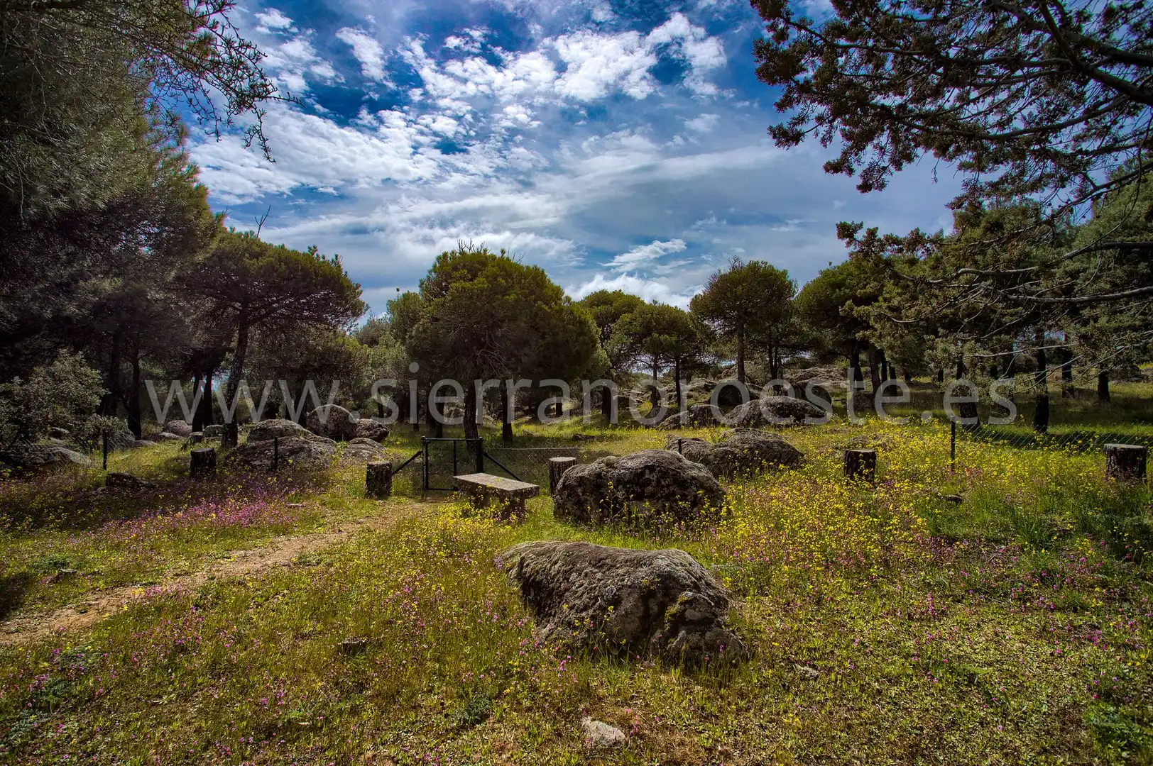 Casa o chalet en venta en Puerto de Galapagar - Las Cuestas