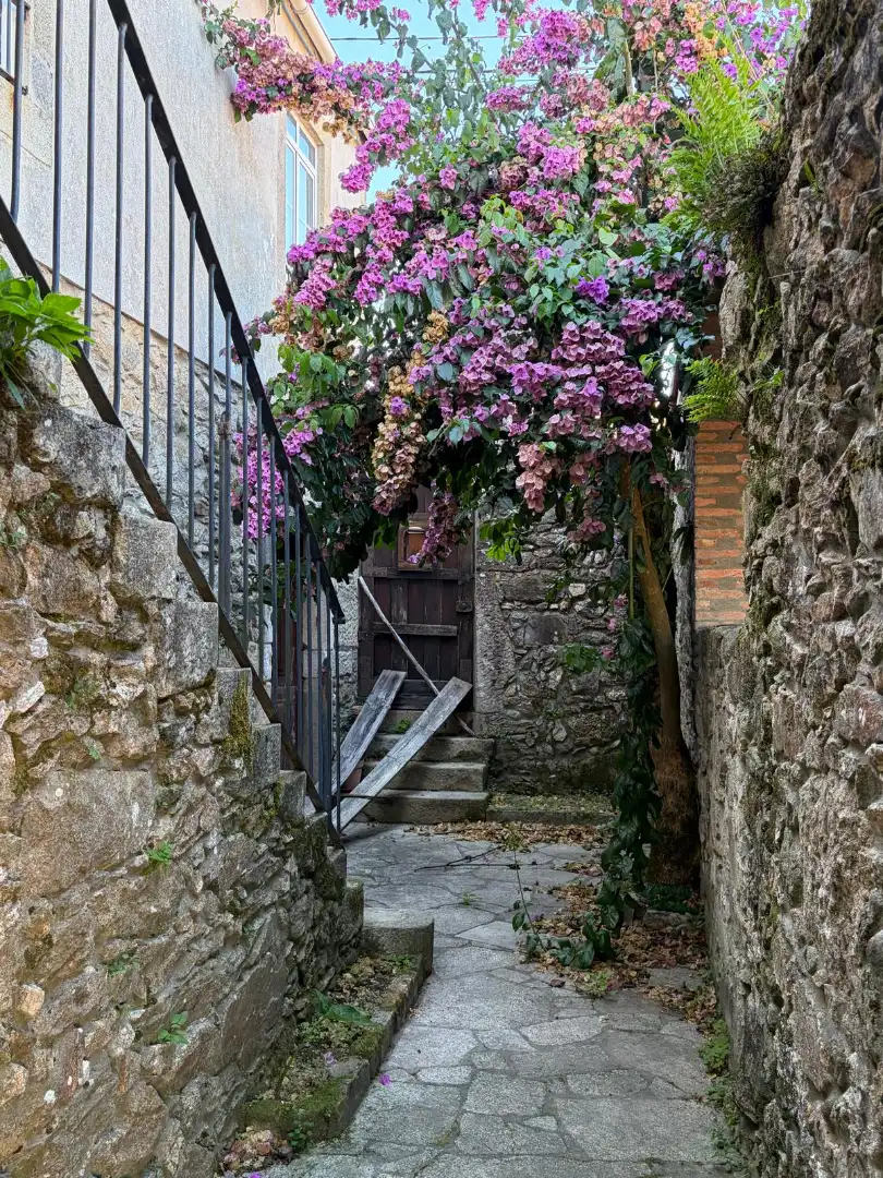 Villa con giardino in vendita a O Rosal, imagen 23
