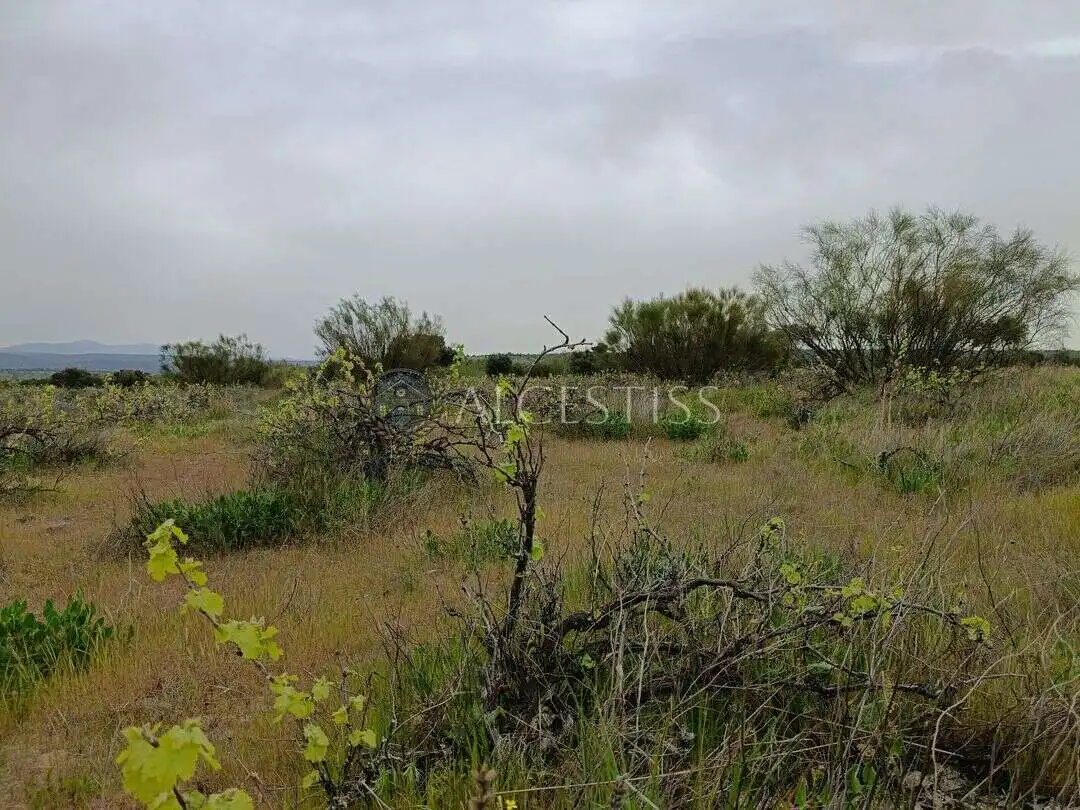 Terreno en venta en Aldea del Fresno