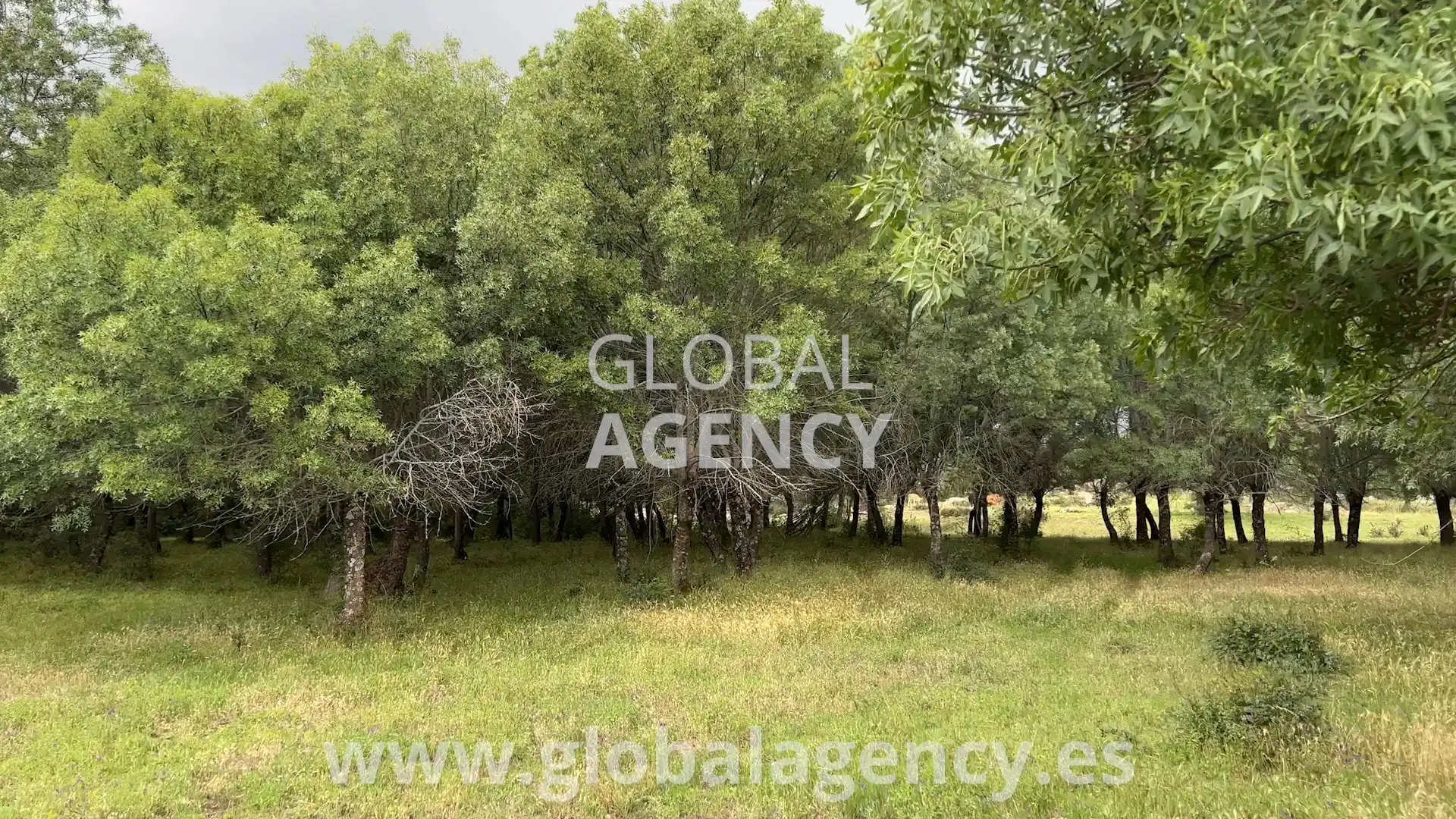 Rural land for sale in Soto del Real, imagen 18