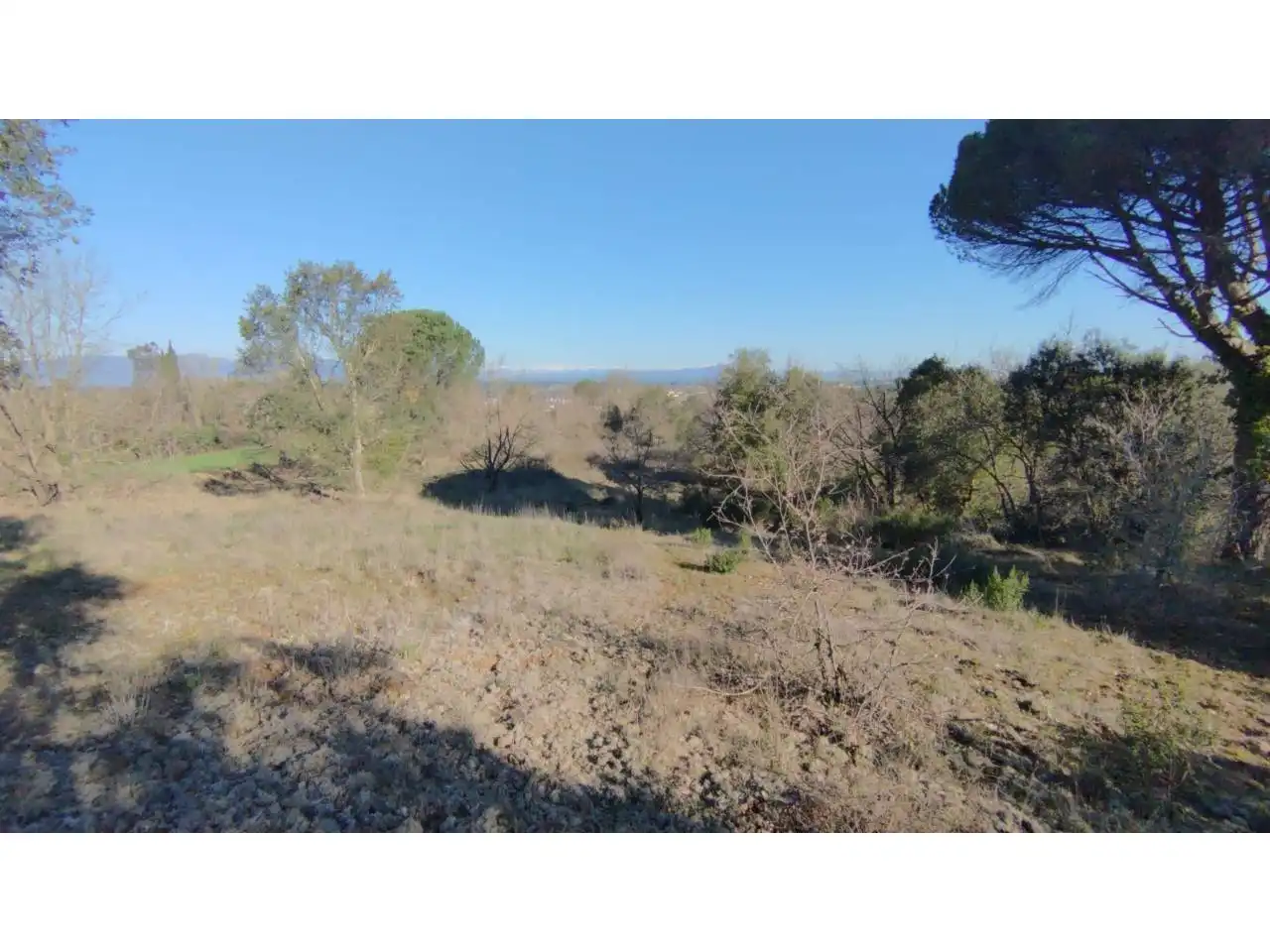 Terrain rustique à vendre à Calle VEINAT MATEUES 11