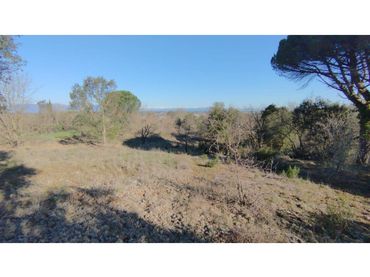 Terrain rustique à vendre à Calle VEINAT MATEUES 11