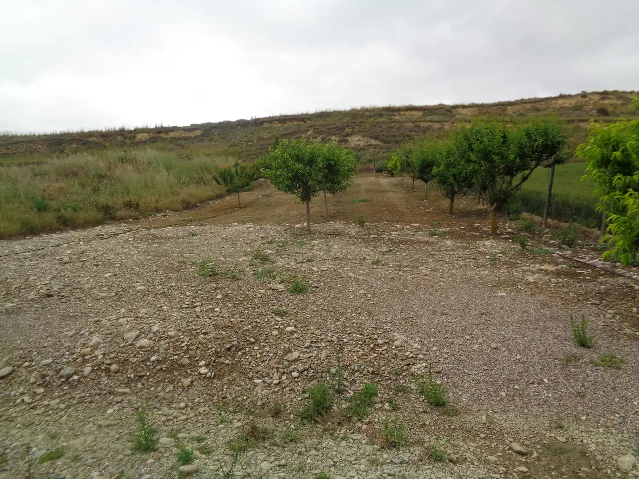 Nave industrial en venta en Cuzcurrita de Río Tirón