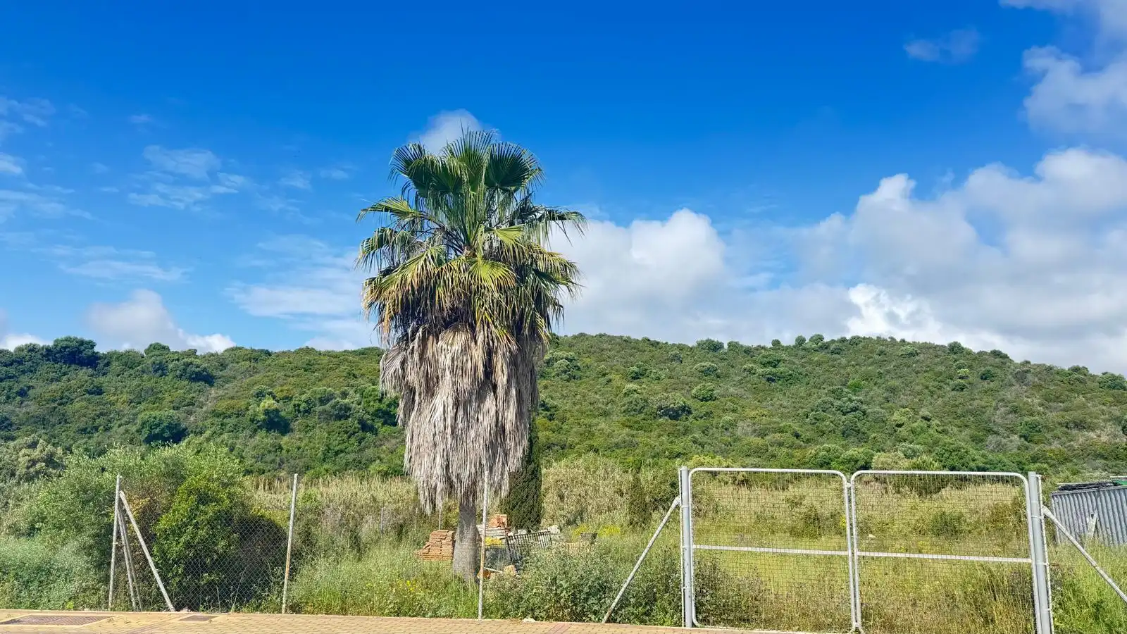 Terreny residencial en venda a A-7, imagen 12