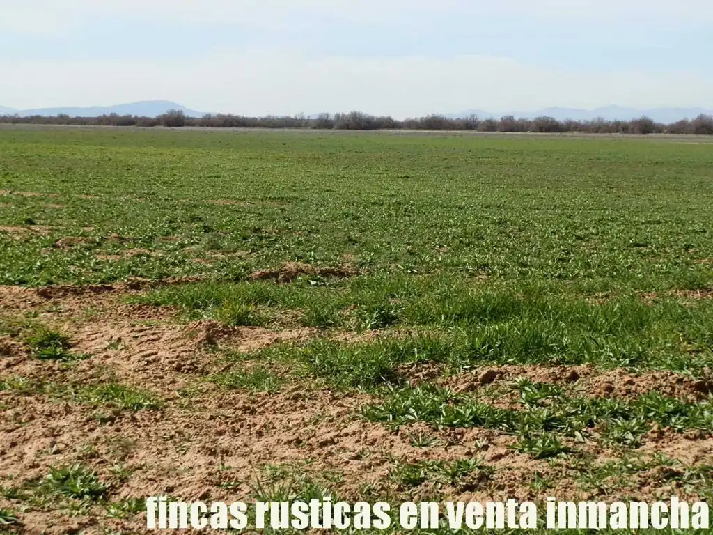 Rural land for sale in Madridejos, imagen 17