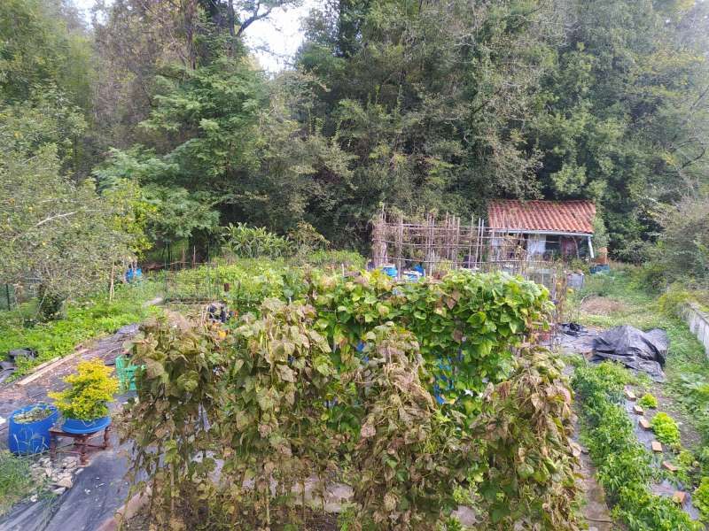 Jardí de Casa adosada en venda en Usurbil amb Jardí privat, Terrassa i Traster