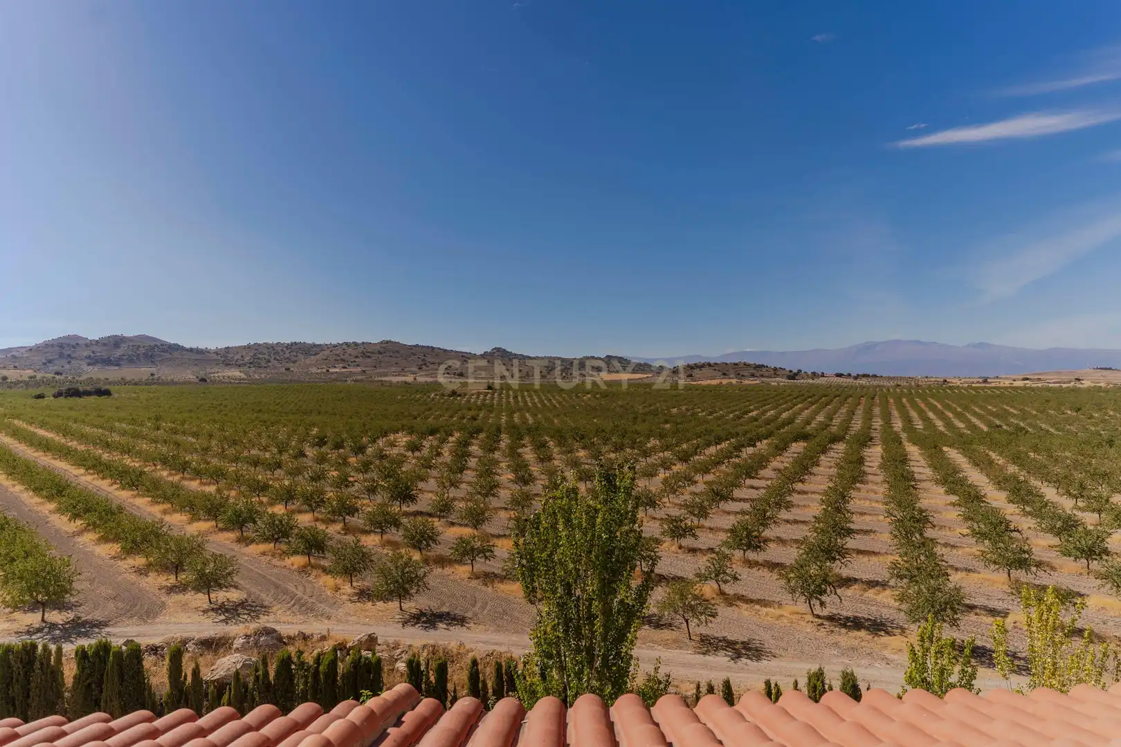 Edificio en venta en N-342, 11, 18870 Gor, Granada, Spain, 12, Gor