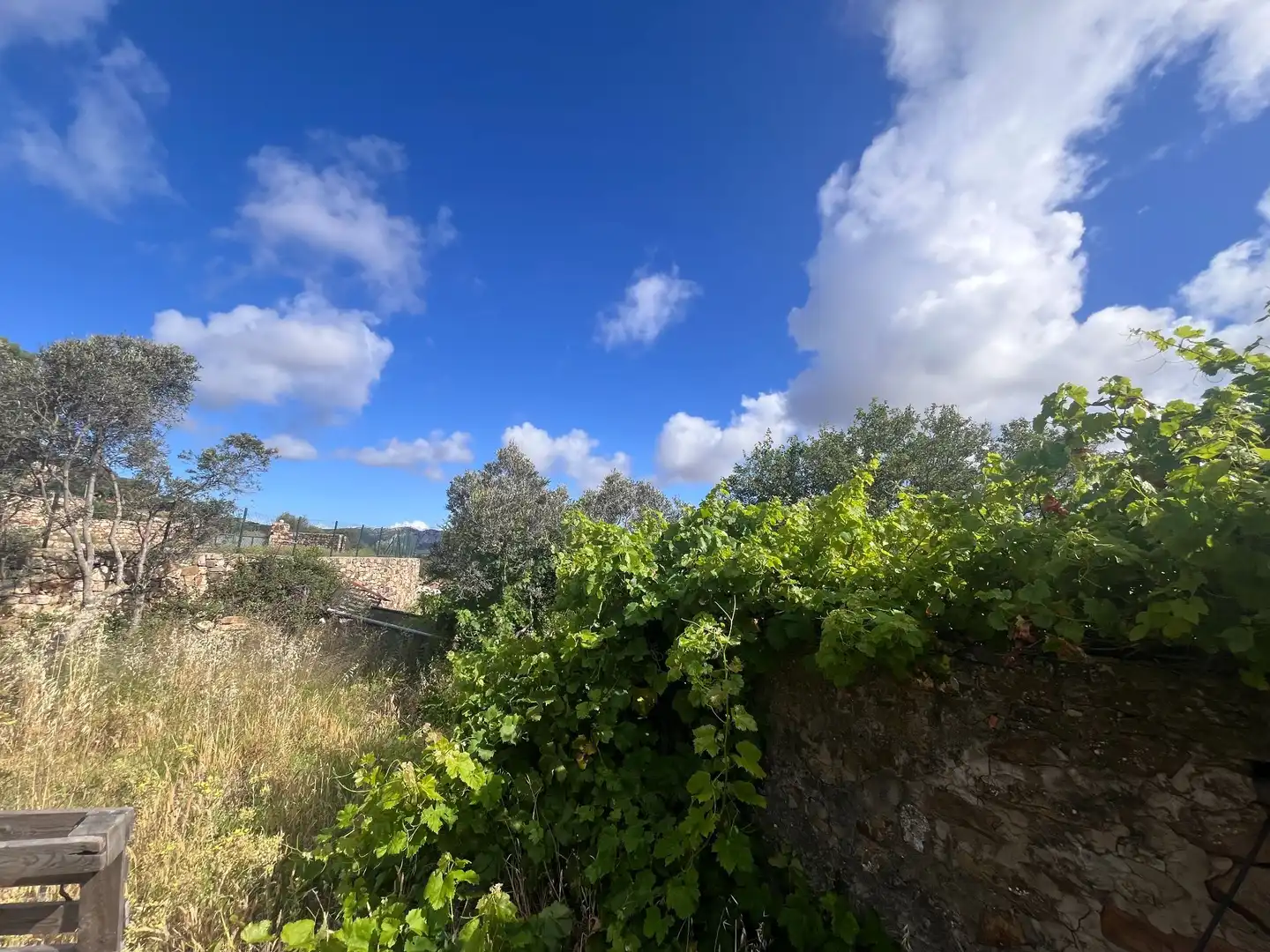 Finca rústica en venta en Tarifa con Jardín privado y Trastero