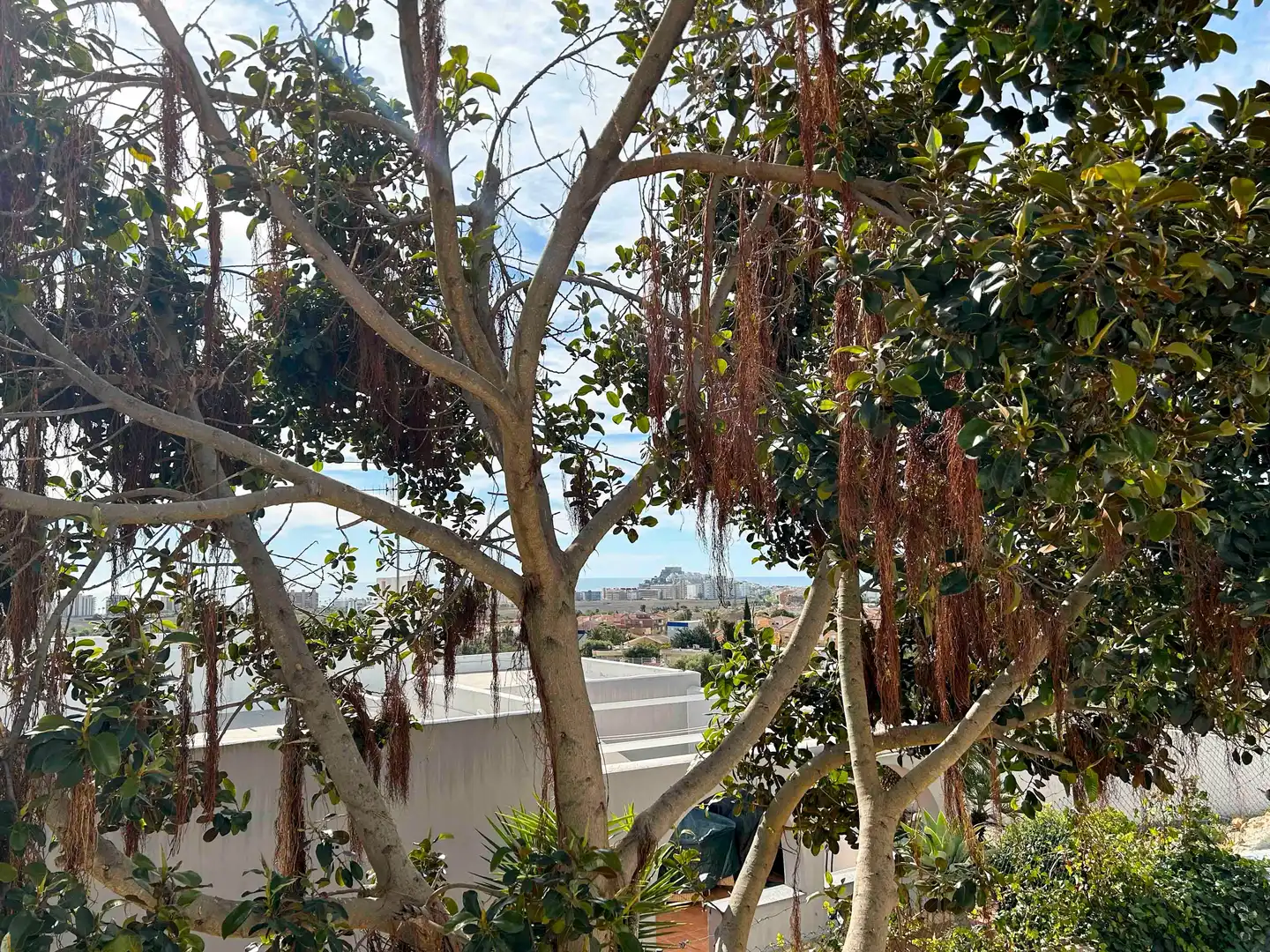 Exterior view of Houses for rent in Peñíscola / Peníscola  with Private garden, Terrace and Furnished