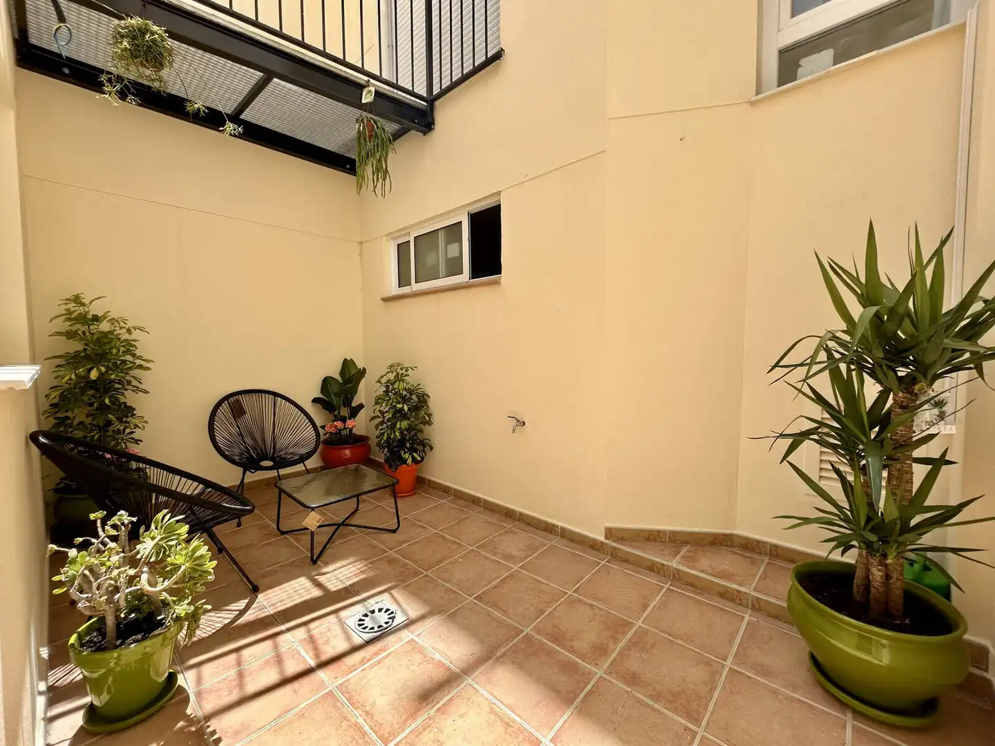Apartament amb terrassa en venda a Pla - Carolinas, imagen 4