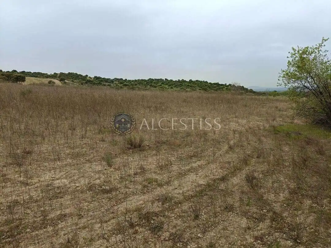 Terreno rústico en venta en Aldea del Fresno, imagen 3