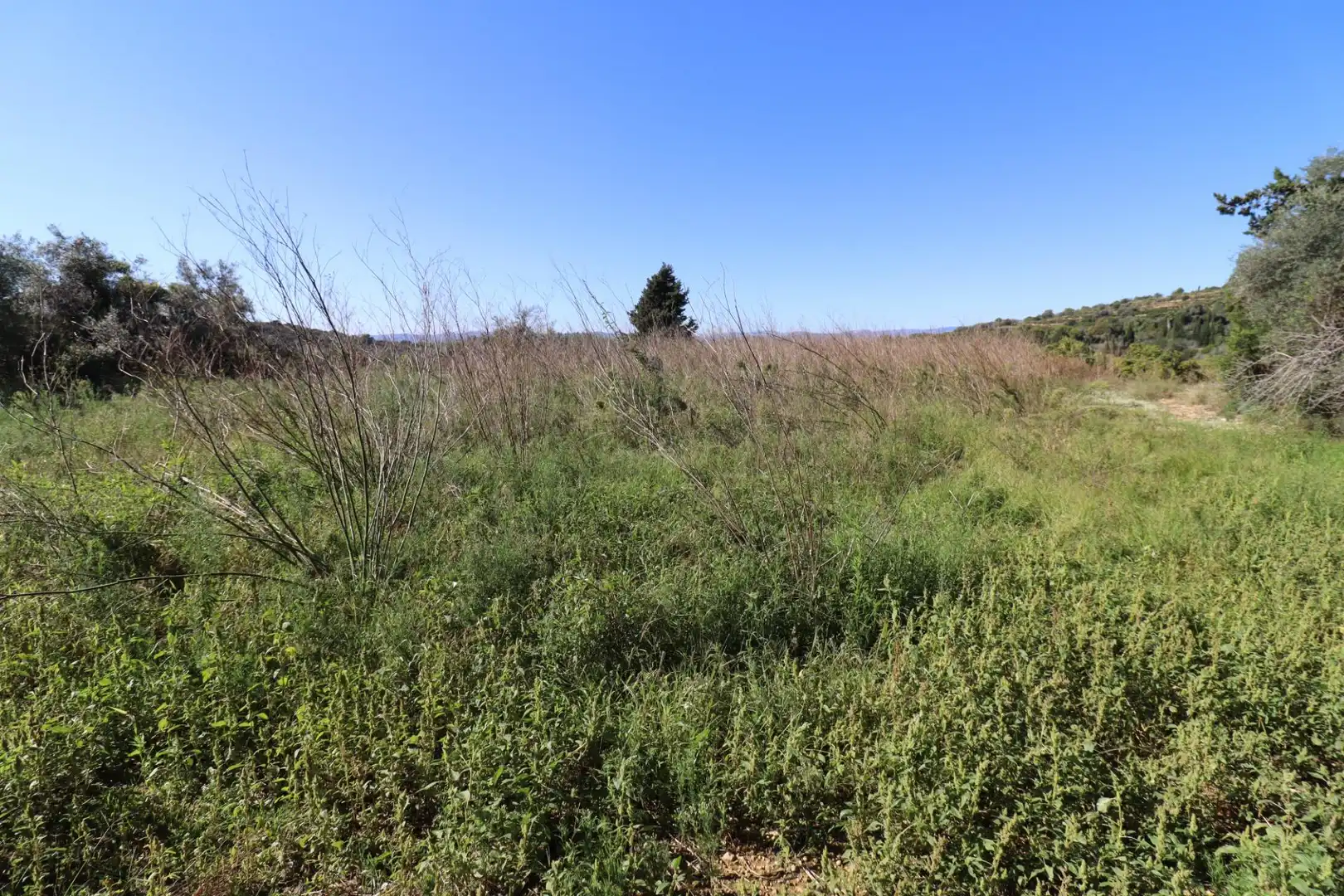 Grundstücke zum Verkauf in Ulldecona