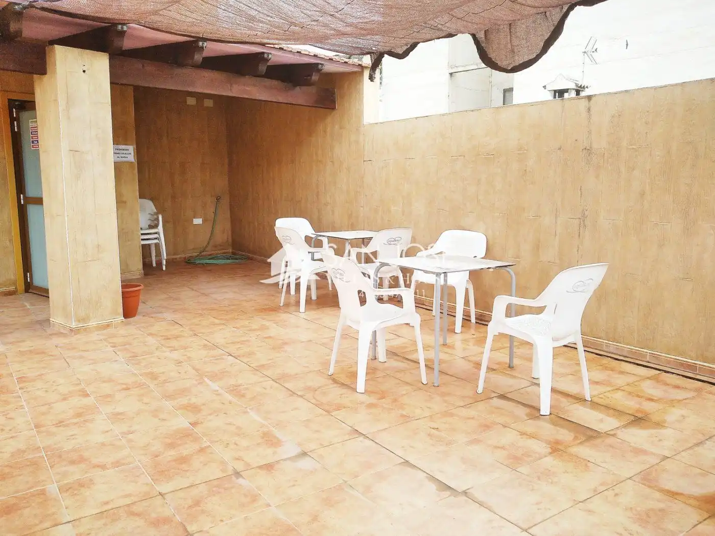 Business premises for sale in Catral, imagen 22
