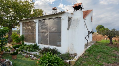 Finca rústica con casa de campo y almacén. Luz eléctrica. Agua de pozo comunitario., imatge 2