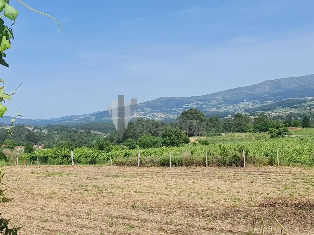Rural land for sale in Arbo, imagen 3
