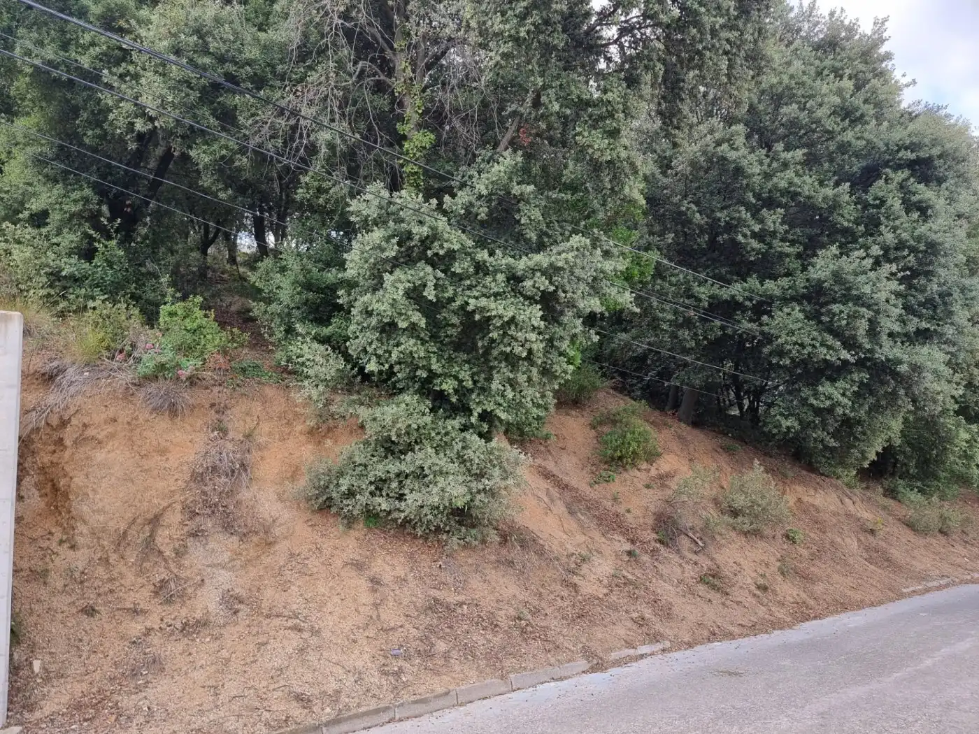 Lands and plots for sale in Calle MARGALLO, imagen 6
