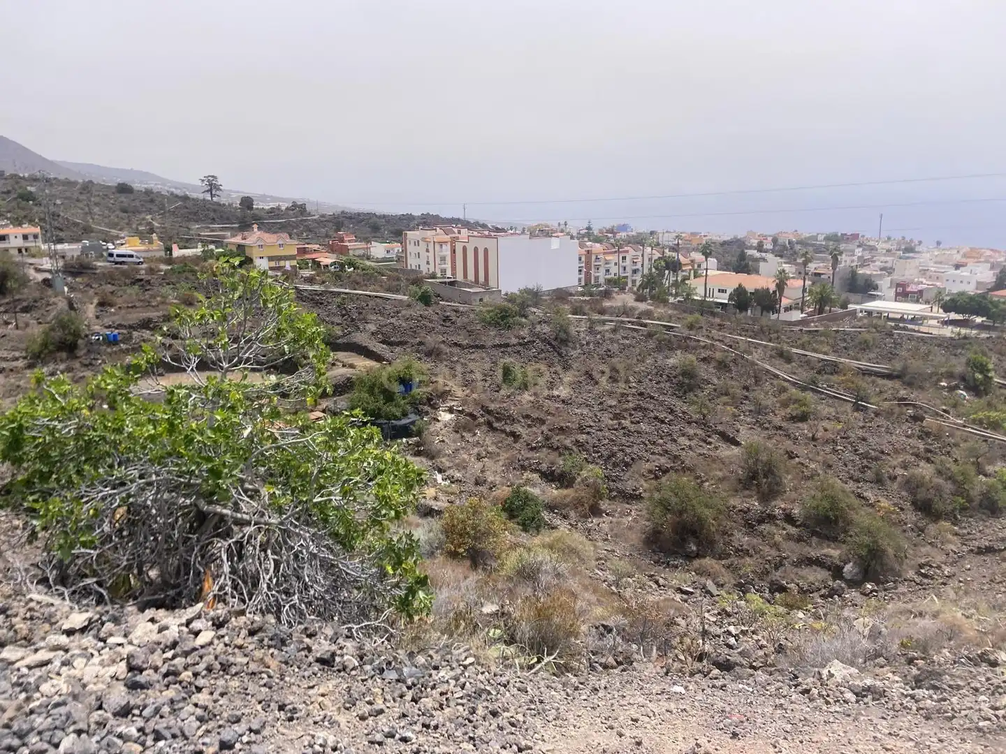 Terreno rústico en venta en Guía de Isora, Spain, imagen 2