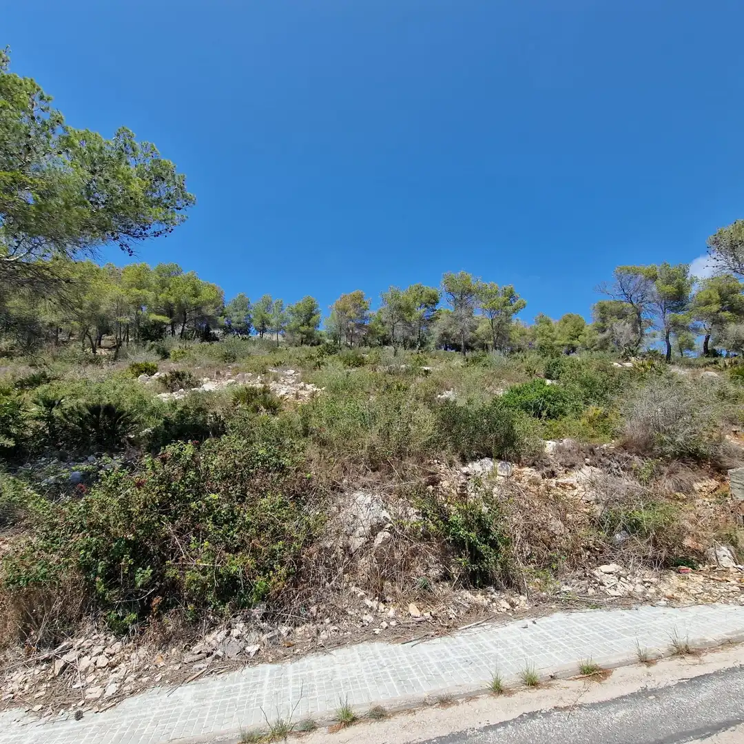 Terreno residencial en venta en Avenida de los Rosales 38, imagen 3