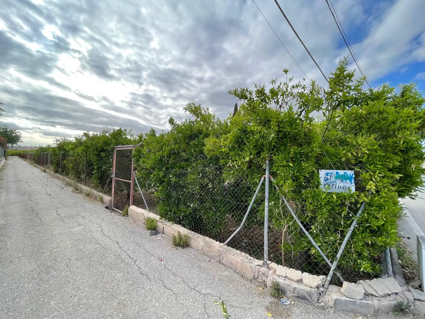 Terreni e lotti in vendita a Pedanías Oeste, imagen 2