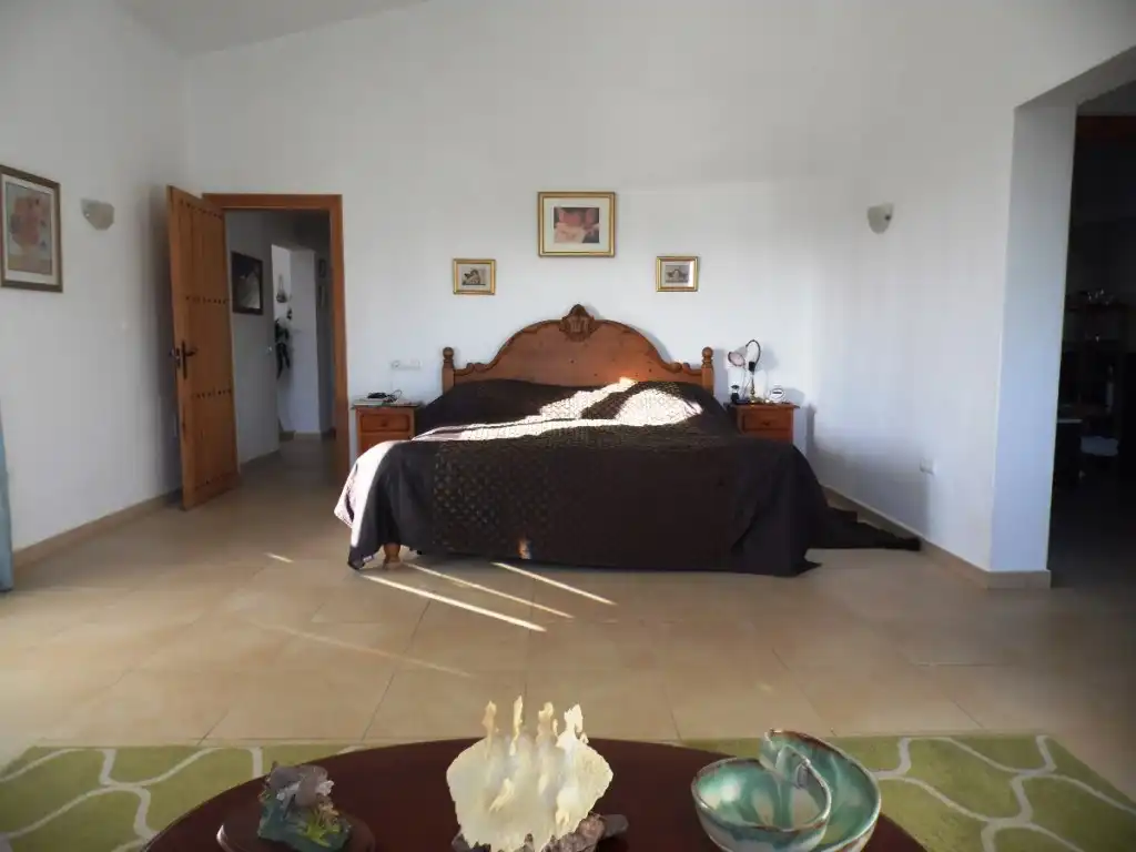 Casa rústica amb jardí en venda a Canillas de Aceituno, imagen 26