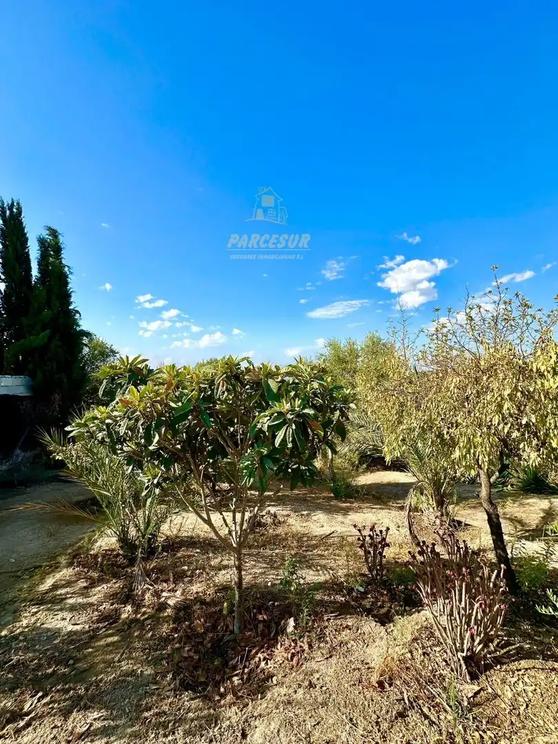 Haus mit Pool zum Verkauf in Almodóvar del Río, imagen 21