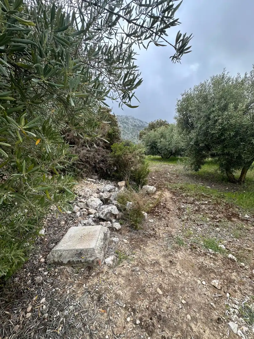 Terreni e lotti in vendita a Alfarnate, imagen 64