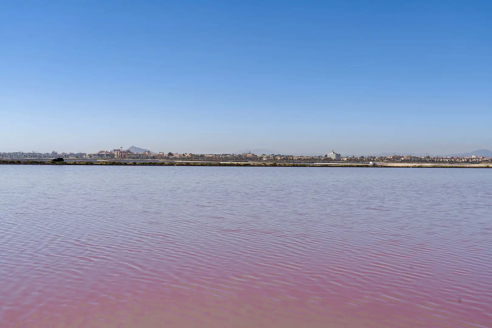 Maison avec piscine à vendre à San Pedro del Pinatar, imagen 42