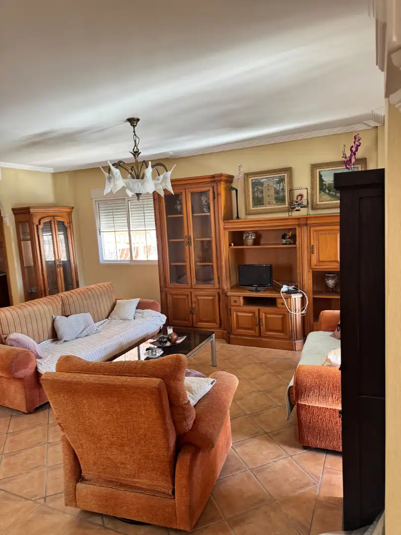 Sala d'estar de Casa o xalet en venda en Elche / Elx amb Aire condicionat, Calefacció i Jardí privat