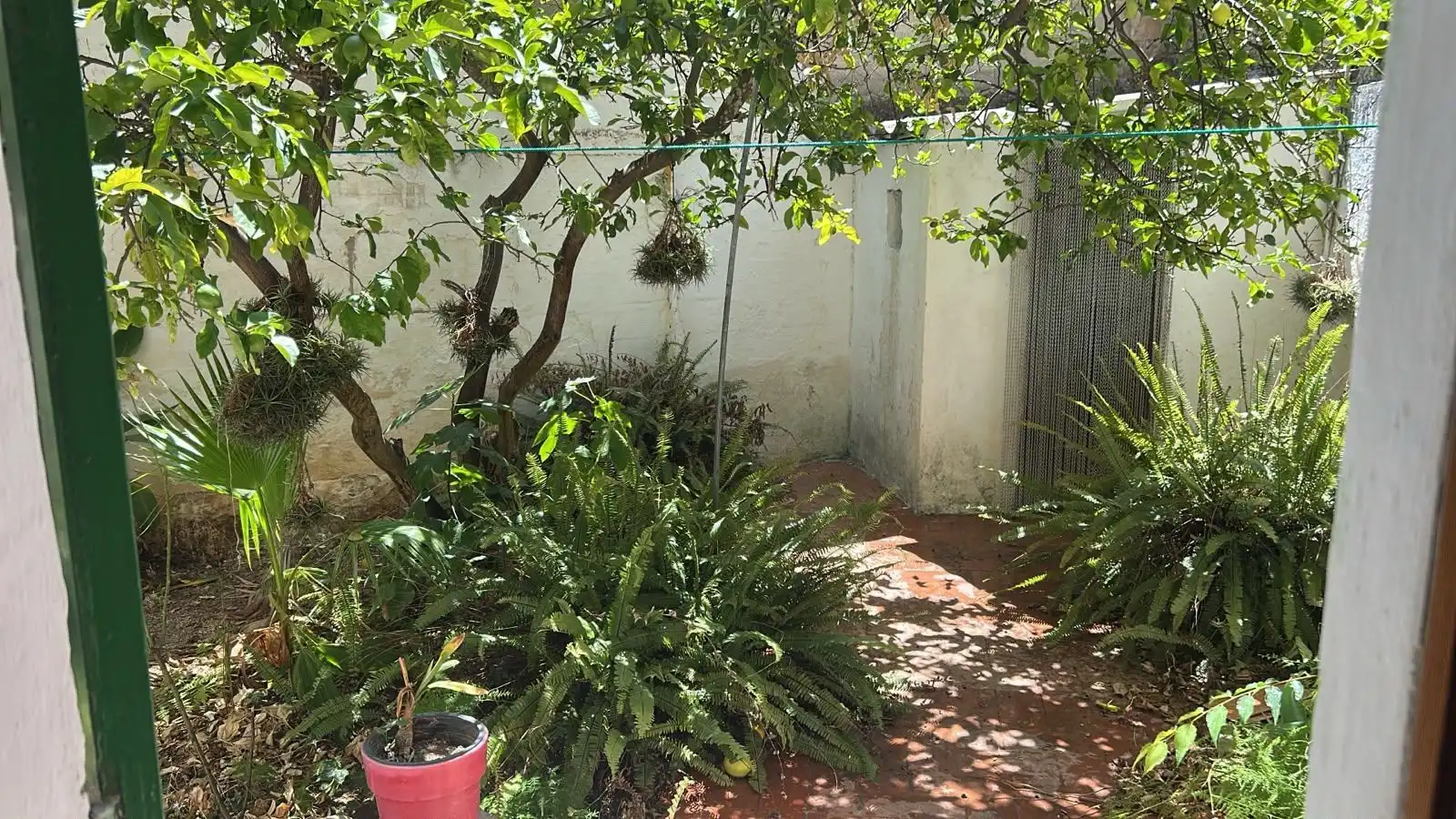 Garden of Flat for sale in Manacor