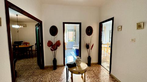 Foto 5 de Casa o xalet en venda a Calle Argentina, Ejido Sur, El Ejido