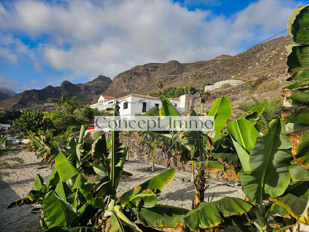 Vista exterior de Finca rústica en venda en Tamaimo - Arguayo