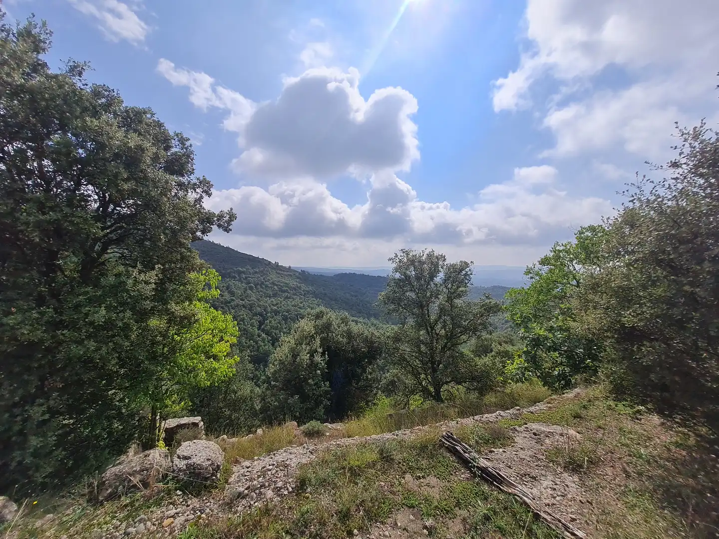 Country homes for sale in Olvan