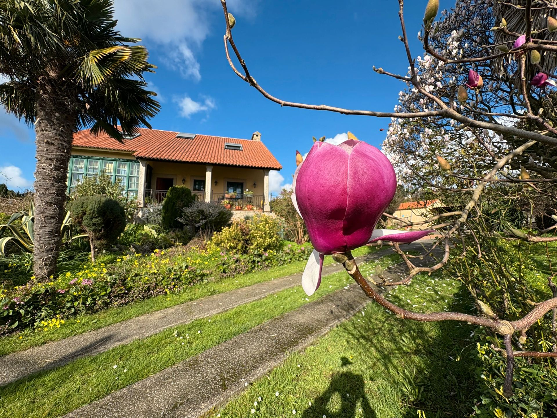 Garden of House or chalet for sale in Narón  with Heating, Private garden and Parquet flooring