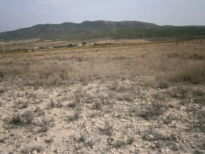 Land for sale in Castrillón