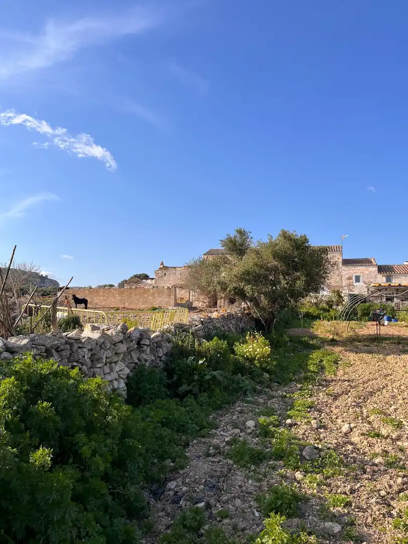 Terreno en venta en Alaior