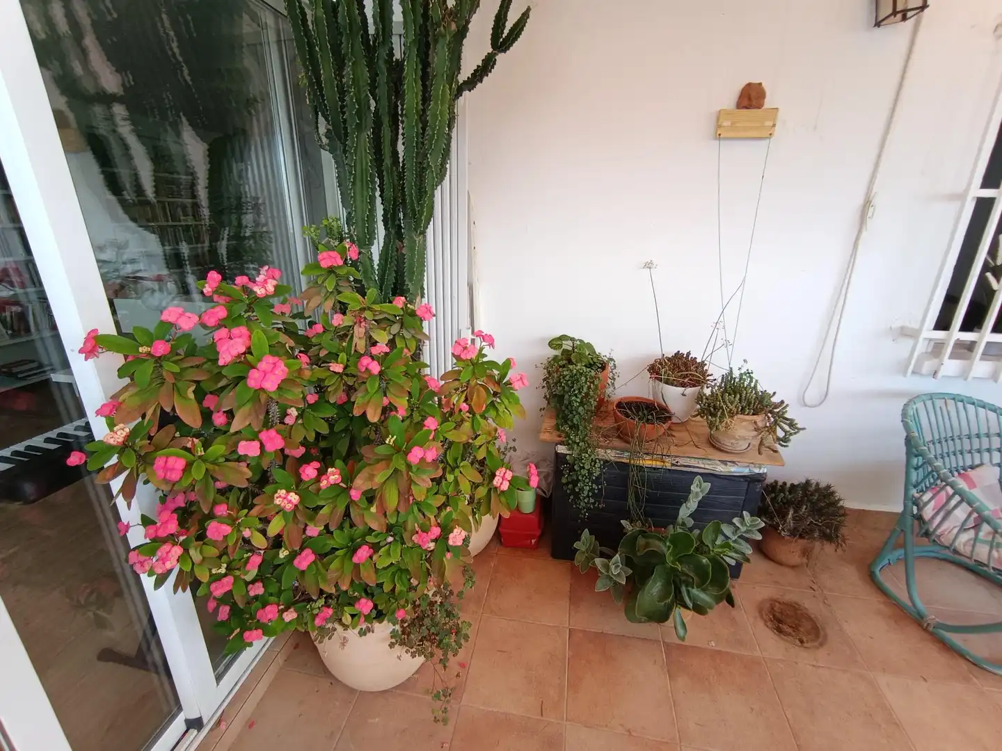 Terrasse von Dachboden zum Verkauf in Molina de Segura mit Heizung