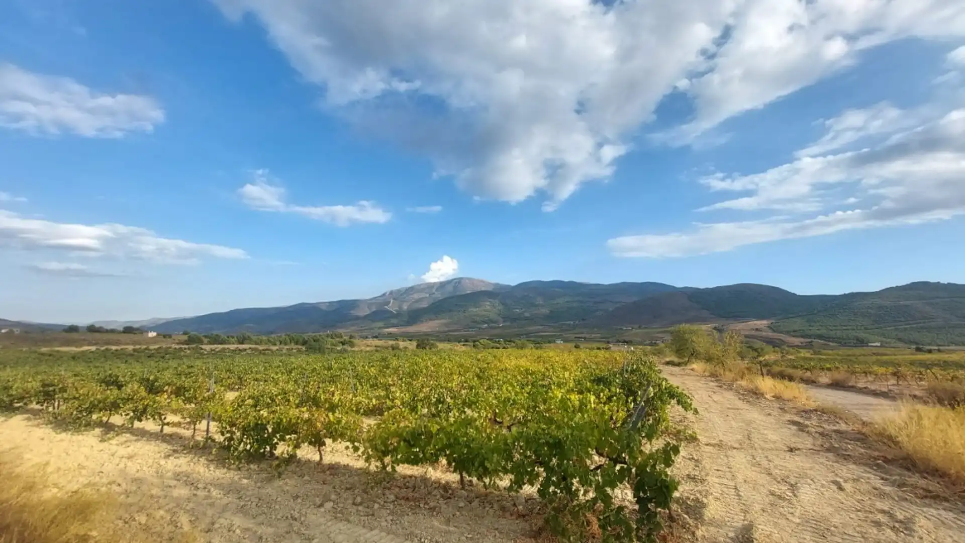 Finca rústica en venta en Laujar de Andarax
