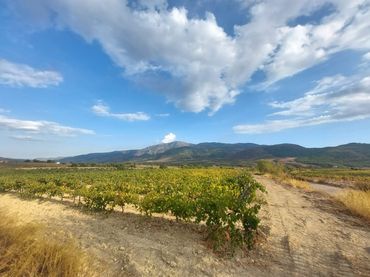 Casa rústica en venta en Laujar de Andarax