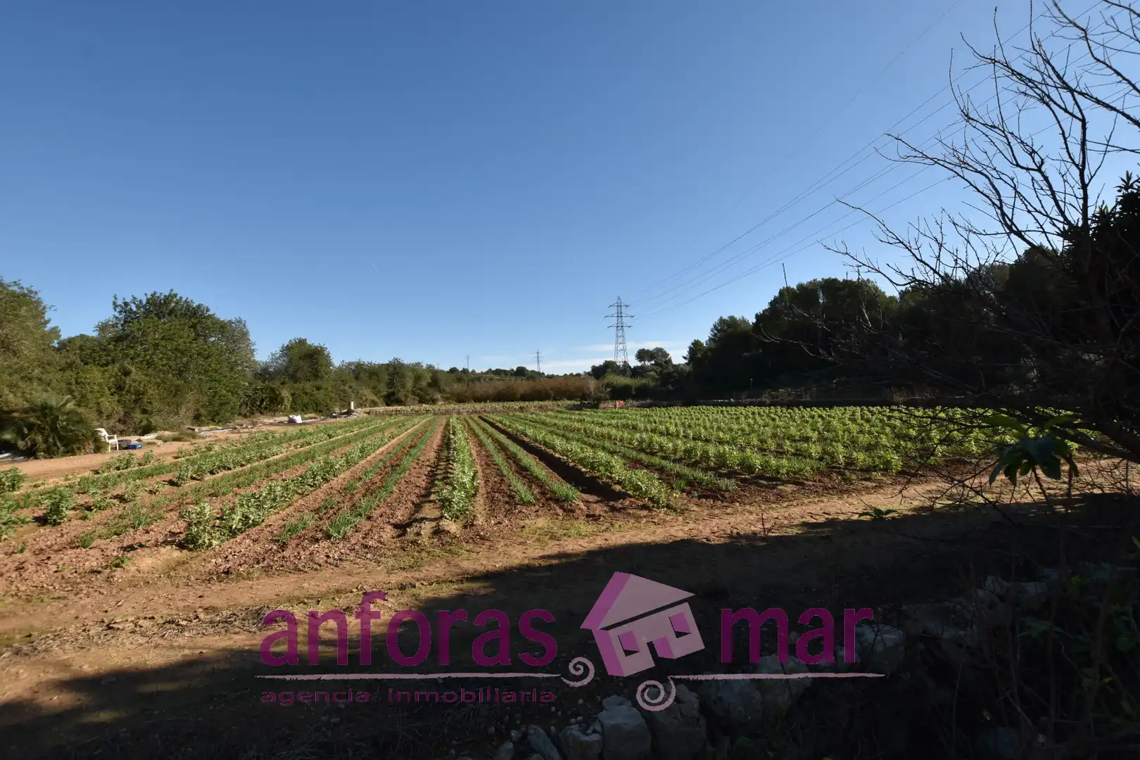 Rustikales Grundstück zum Verkauf in La Riera de Gaià, imagen 9