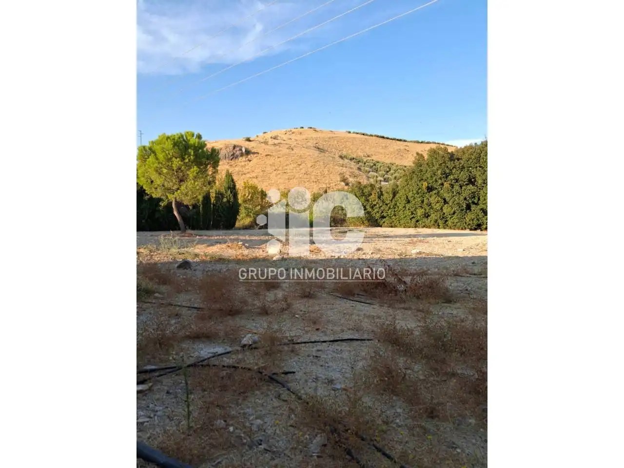 Terreny residencial en venda a Baena, imagen 3