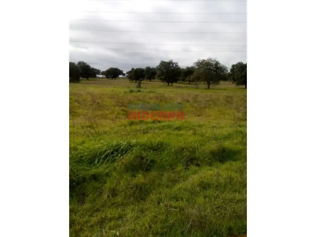 Finca rústica en venda en Alcolea de Tajo