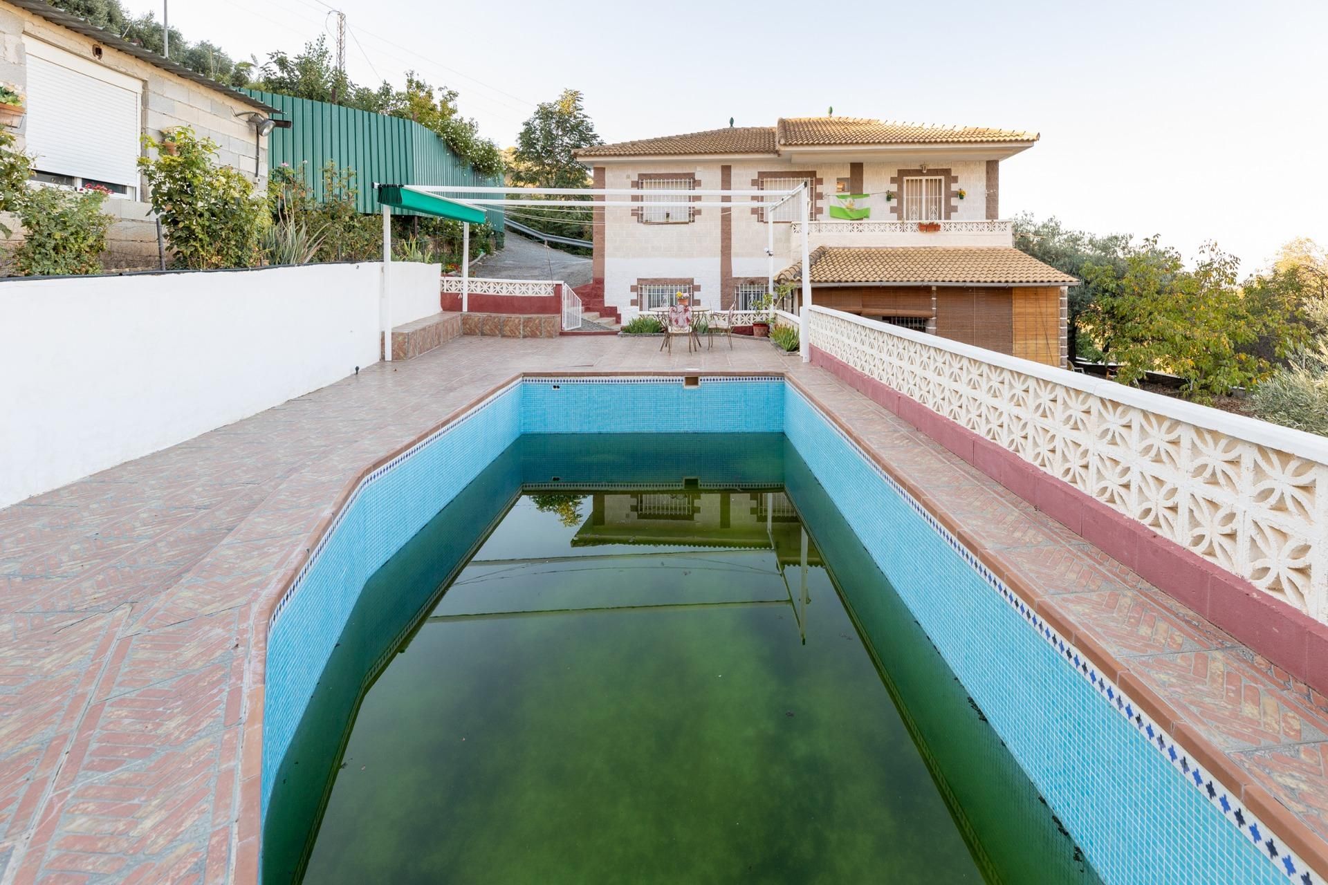 Piscina de Casa o xalet en venda en Cogollos de la Vega amb Jardí privat, Terrassa i Traster
