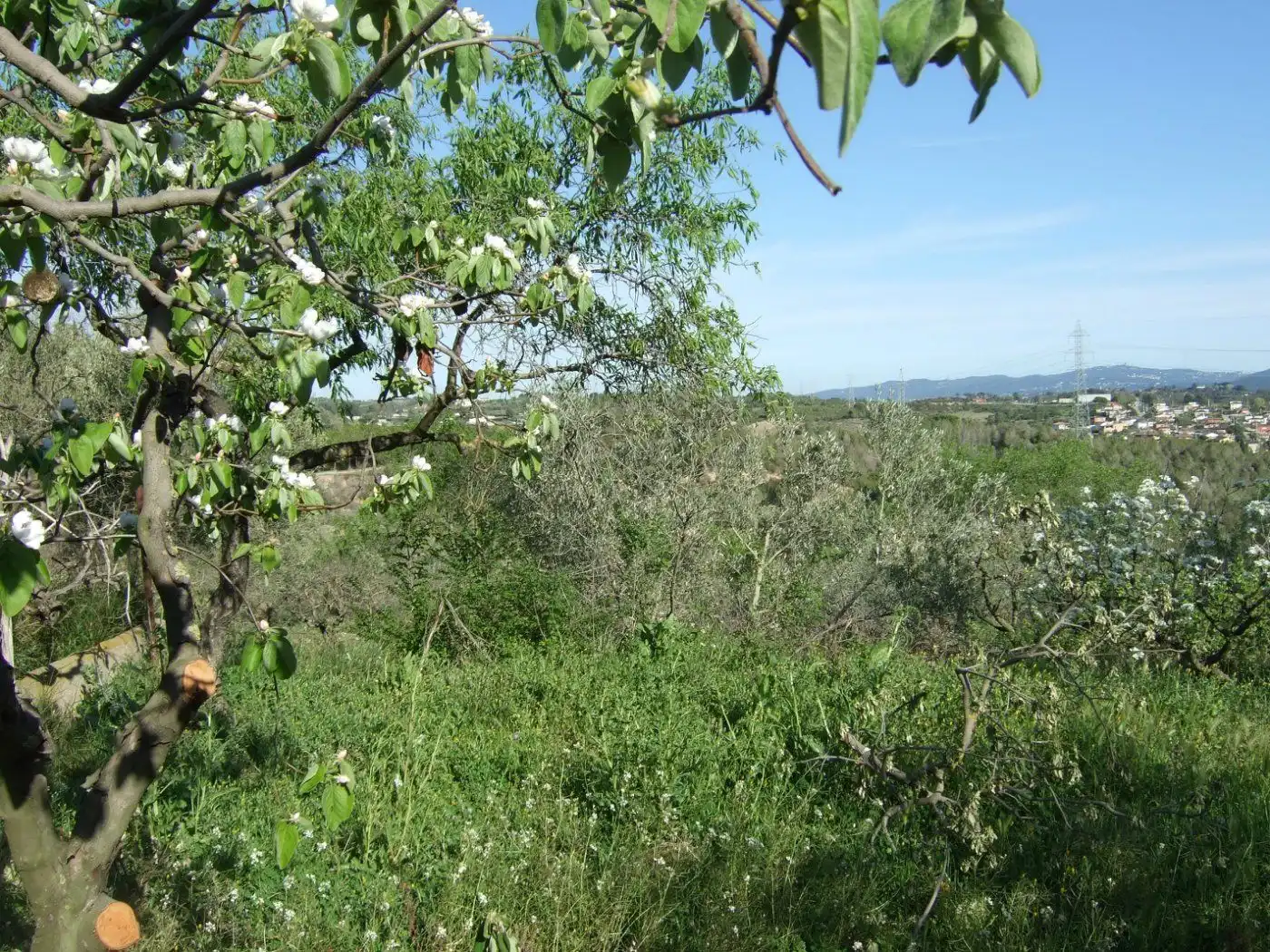 Residential land for sale in Castellbisbal, imagen 13