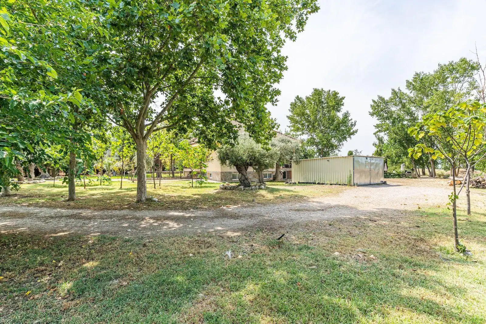 Vista exterior de Casa o chalet en venta en Fuente El Saz de Jarama con Aire acondicionado, Calefacción y Piscina