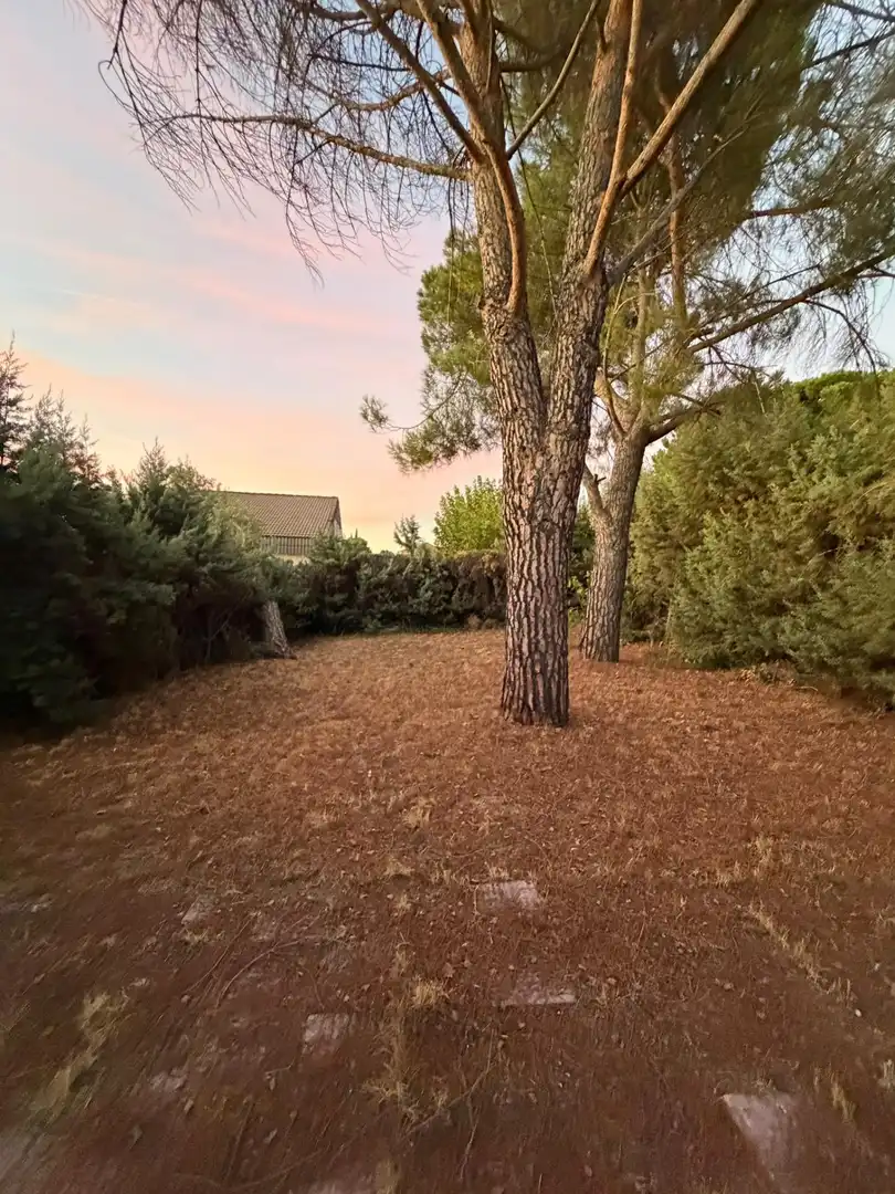 Detached house with pool for sale in Parque Coimbra, imagen 21