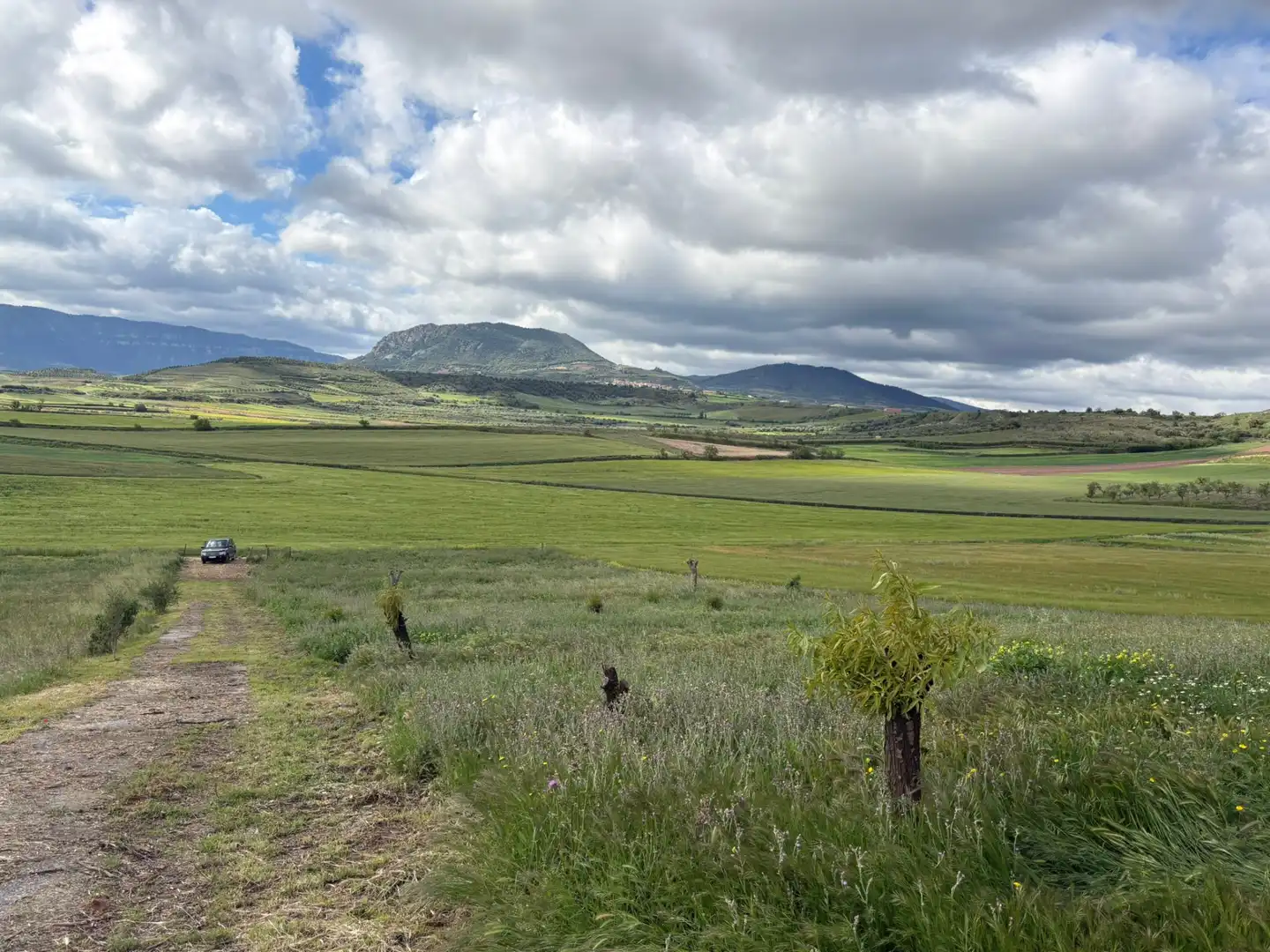 Terrenys i solars en venda a Alberite, imagen 7